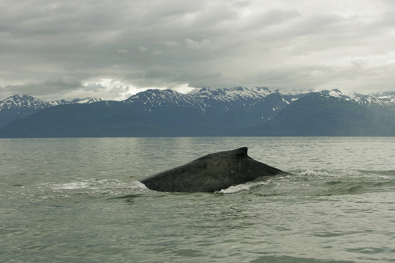 Rui Camilo Photography